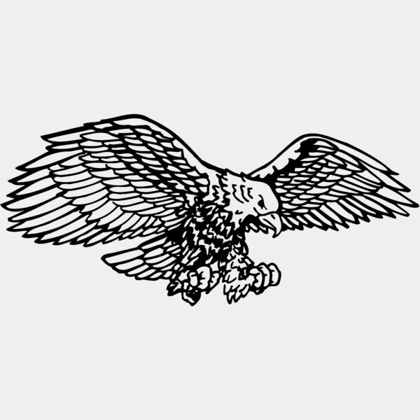 EAGLE003 Thumbnail