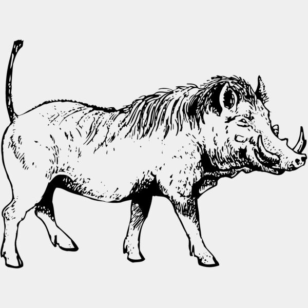 BOAR0002 Thumbnail