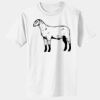 1-DAY RUSH NO MINIMUM Toddler Core Cotton Tee Thumbnail